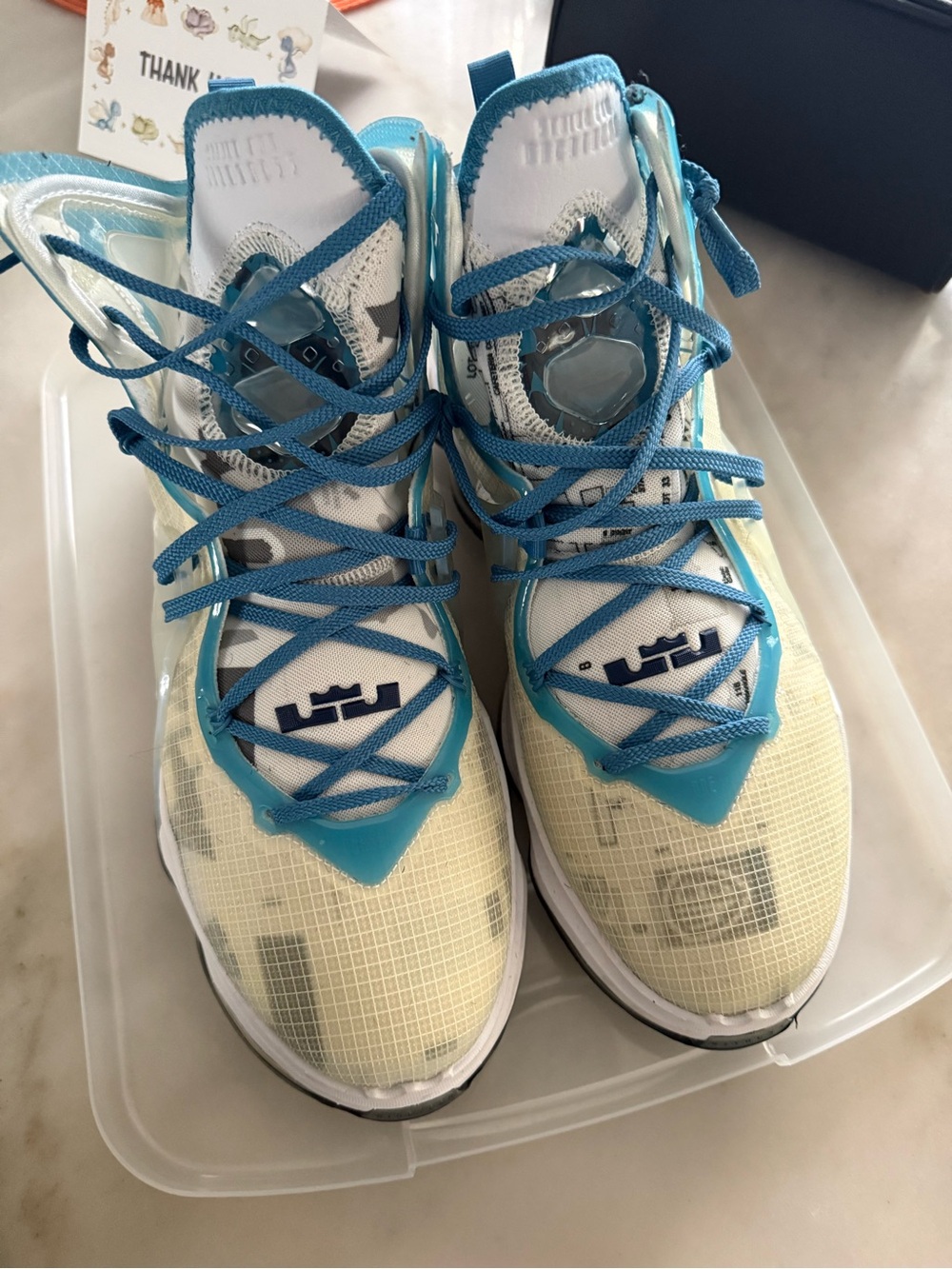 LeBron  Sneakers in Teal and Cream.          Space Jam 19 Sweatsuit size 12